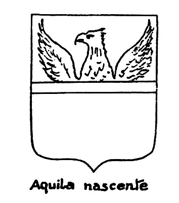 Image of the heraldic term: Aquila nascente